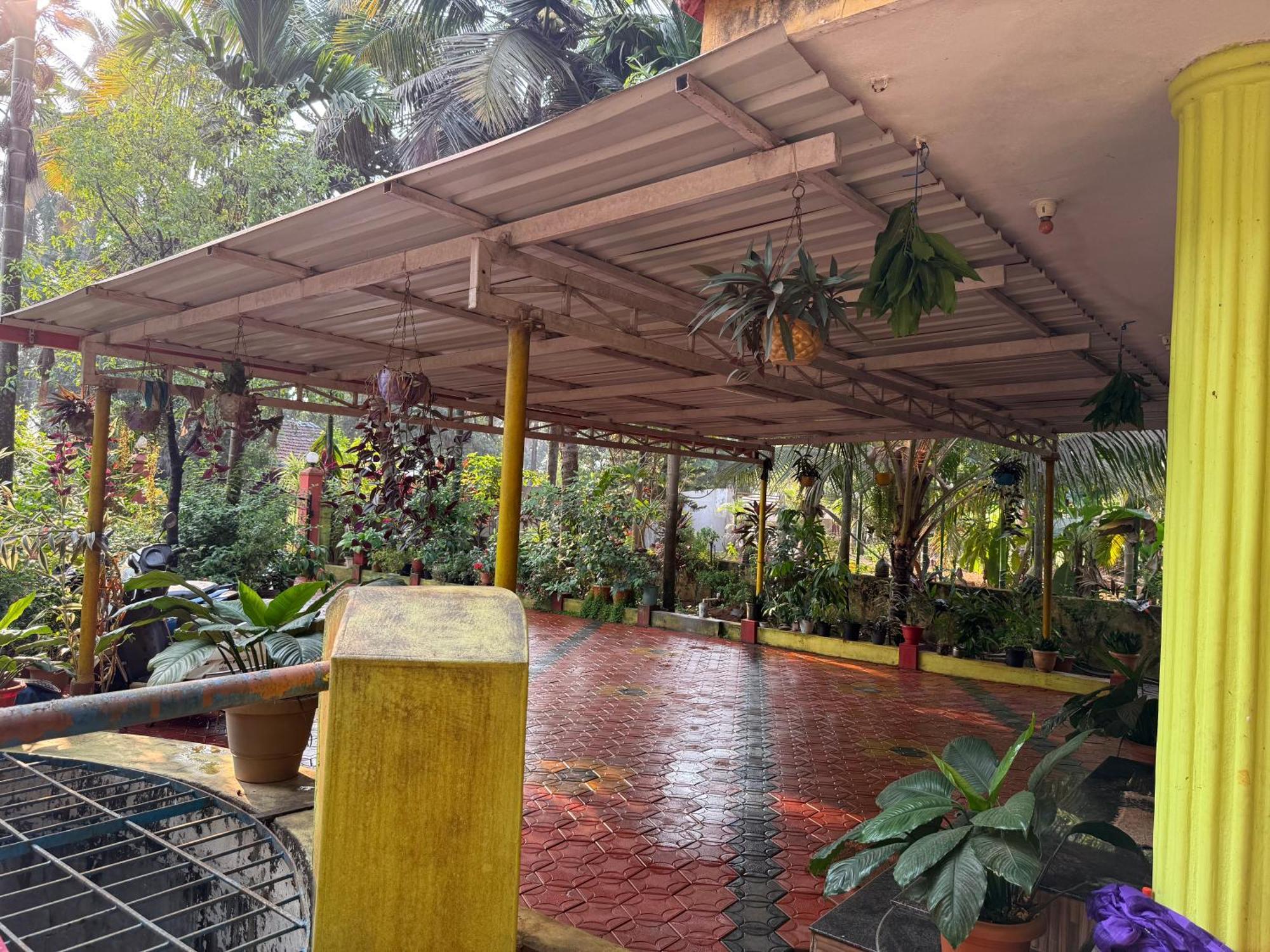 Homestay Native *